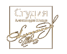 Студия Александра Швеца